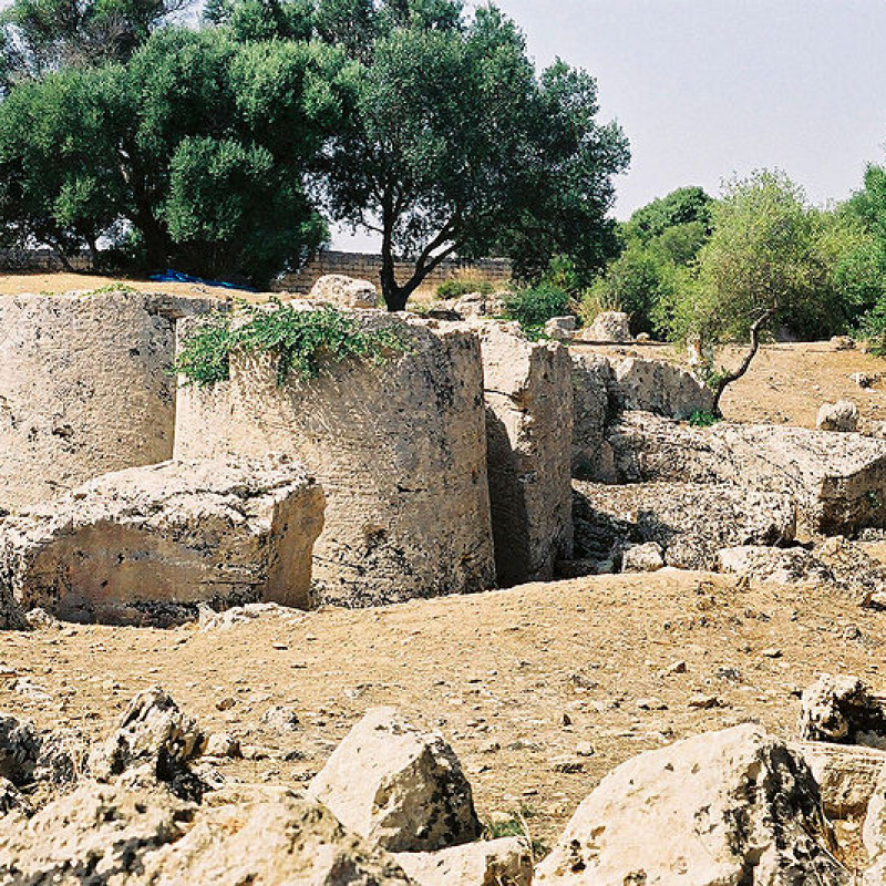 Parco archeologico di Selinunte