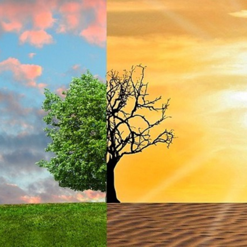 Gli effetti del cambiamento climatico (fonte: Pixabay)