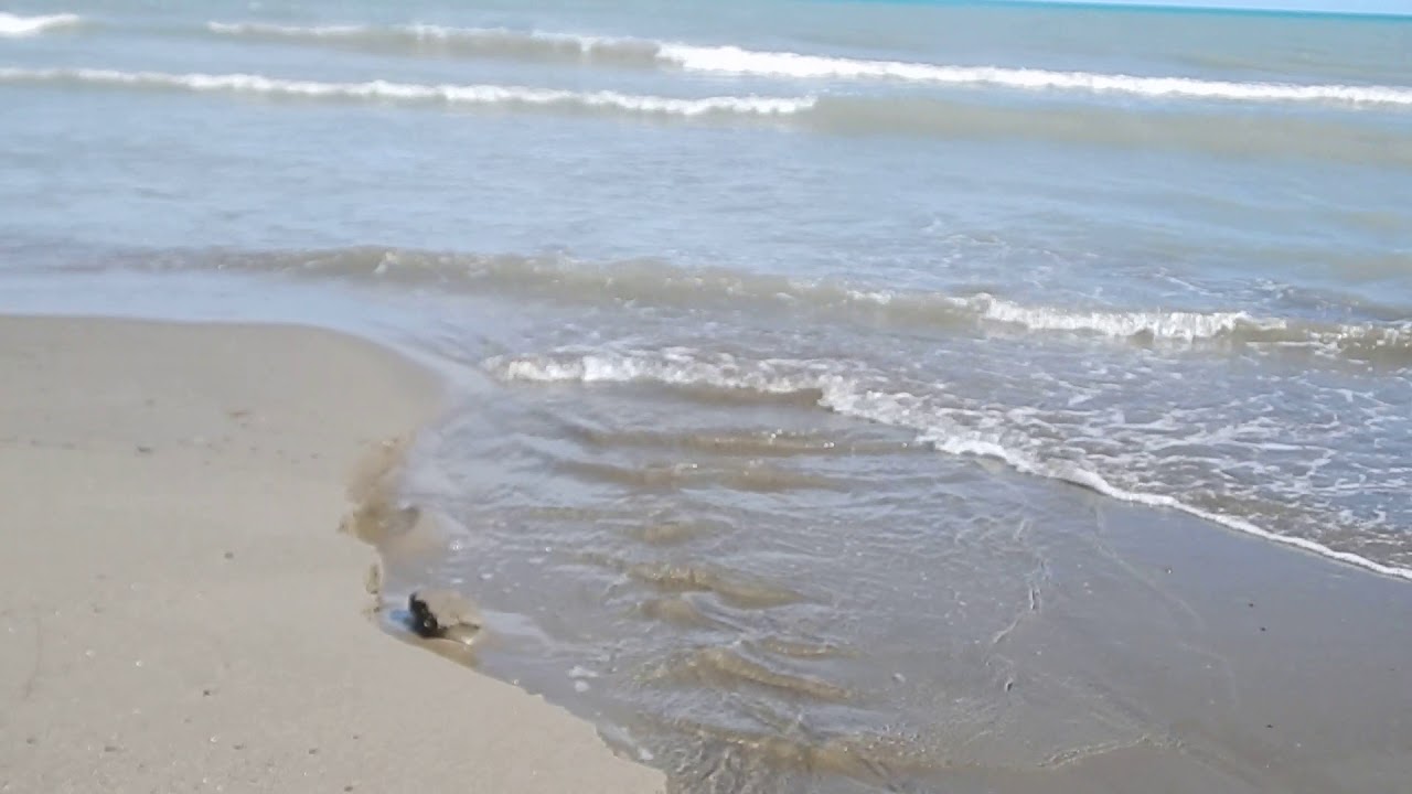 Sesso in spiaggia a Reggio Calabria, due giovani denunciati - Gazzetta del  Sud