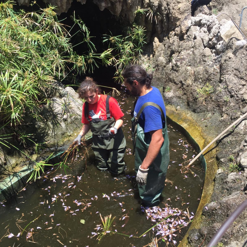 Vasca ripulita, pavimentazione sistemata: le foto dei lavori a villa Mazzini a Messina