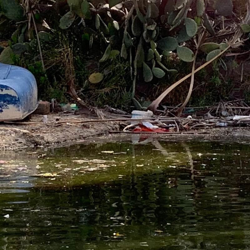 Messina, emergenza inquinamento a Ganzirri: scarichi nelle acque del Lago grande - Foto