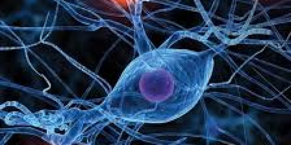 https://assets.gazzettadelsud.it/2019/07/Nanotecnologie-970x485.jpg