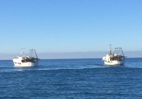 Coldiretti Calabria in protesta. Economia sotto pressione, campi in rivolta e barche ferme