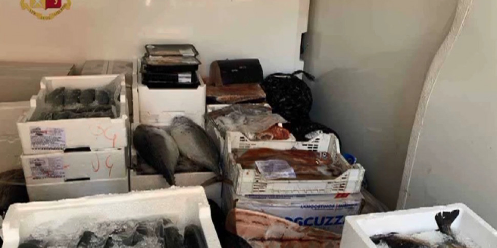 Messina, 50 chili di pesce sequestrato in via Manzoni: la metà non era commestibile