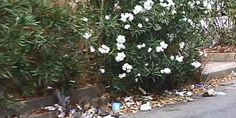 Semafori fuori uso, segnaletica mancante e grate traballanti: degrado a Messina in viale Papardo