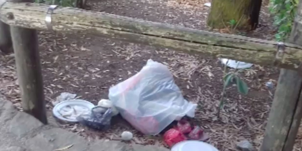 Colli Sanrizzo, a Messina aumenta sporcizia e degrado