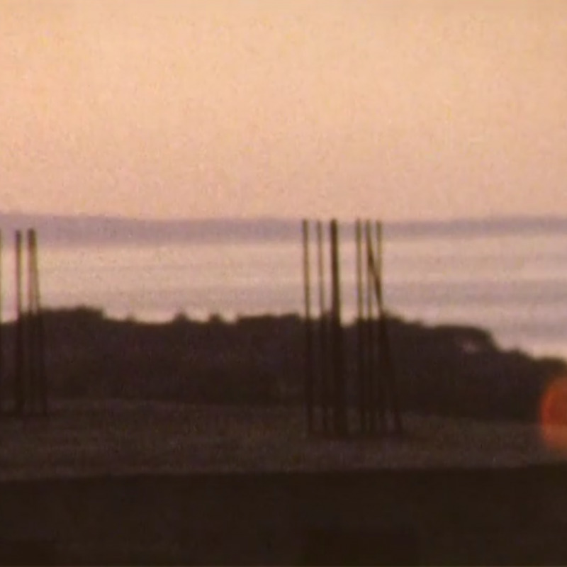 Un frame tratto dal documentario