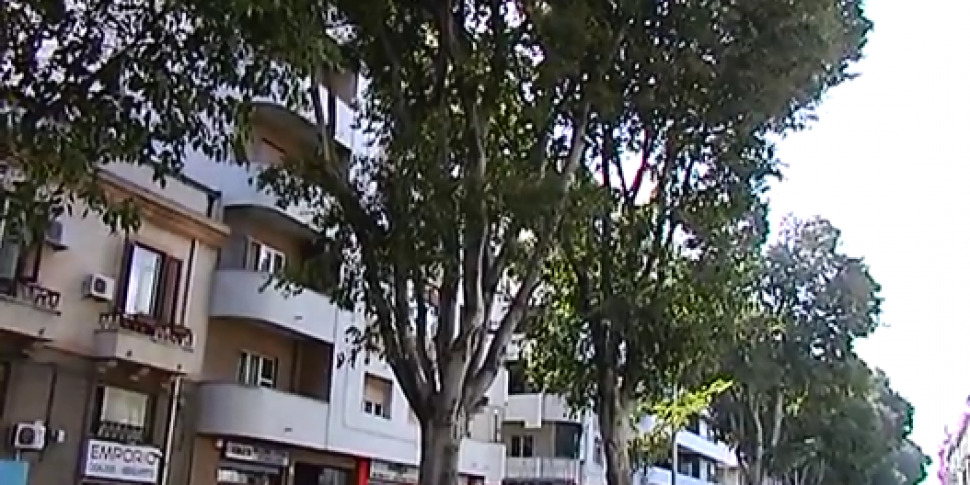 Messina, migliaia di alberi da abbattere: arriva l'appalto da 1 milione per la cura del verde