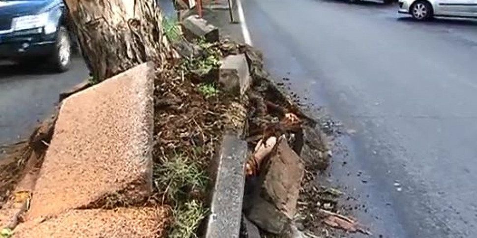 Maltempo a Messina, conta dei danni dopo la bufera: almeno 15 gli alberi divelti e 2 feriti