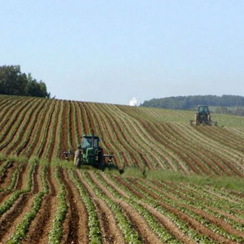 "L'attuale platea di lavoratori agricoli sarebbe più che sufficiente a rispondere alla mancanza di quei lavoratori stranieri che ancora non sono rientrati nel nostro Paese", osserva il segretario generale Mantegazza.