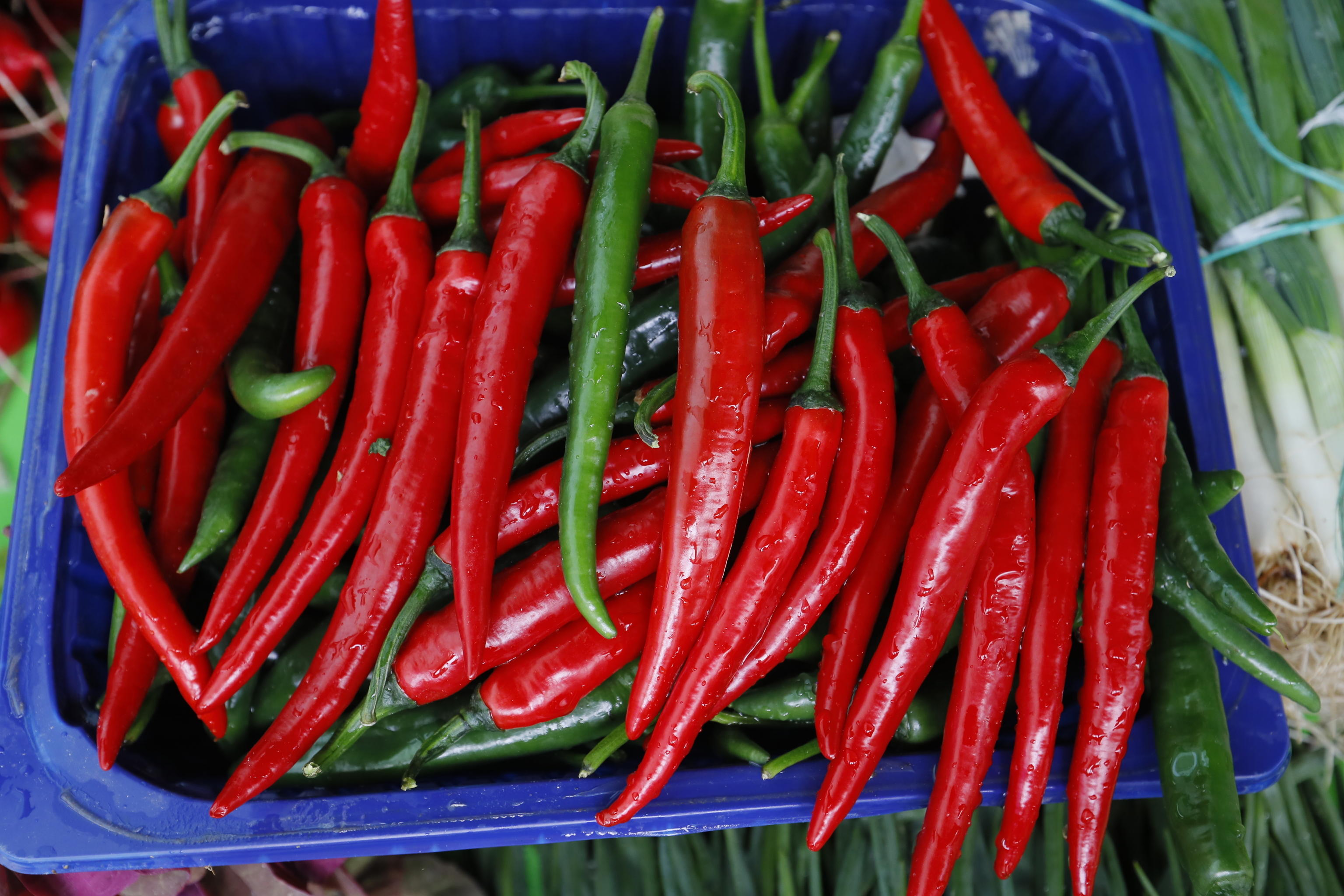 Il Peperoncino di Calabria ottiene l’Igp: riconoscimento europeo per uno dei simboli della regione