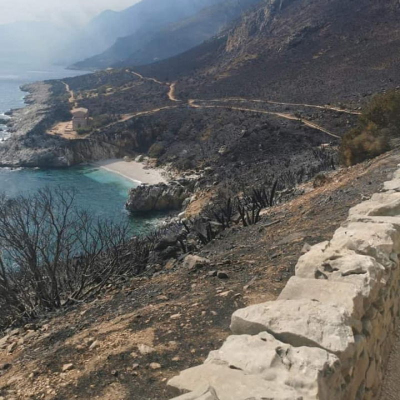 L'incendio che ha devastato la riserva dello Zingaro