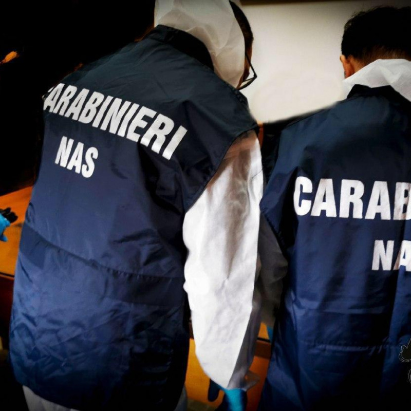 I carabinieri del Nas hanno effettuato le indagini