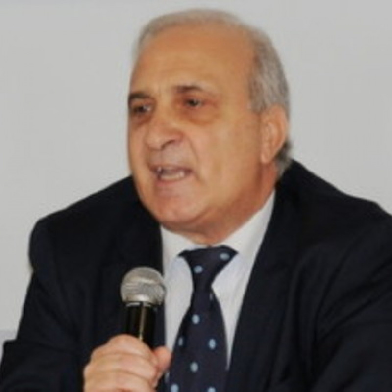 Il Prof. Vincenzo Talesa