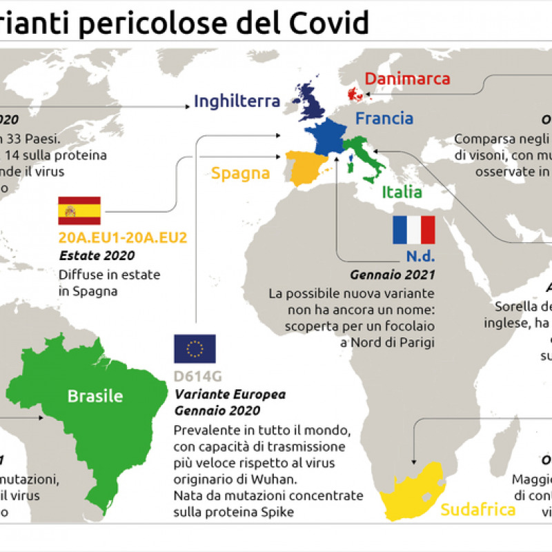 INFOGRAFICA - Le varianti del Covid