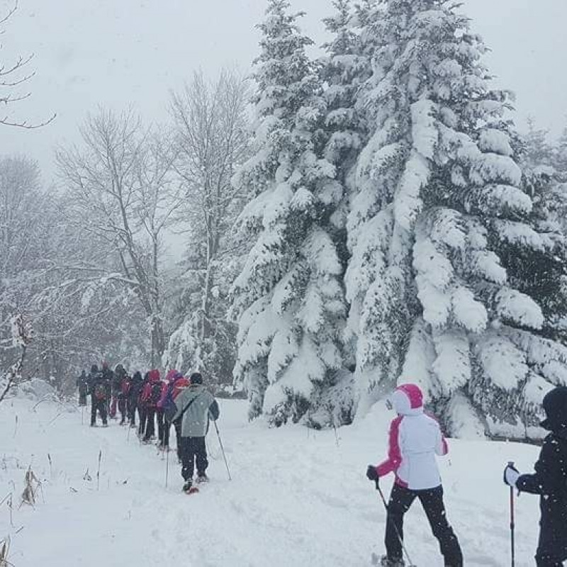 Maltempo, la Sila si risveglia sotto una coltre di neve