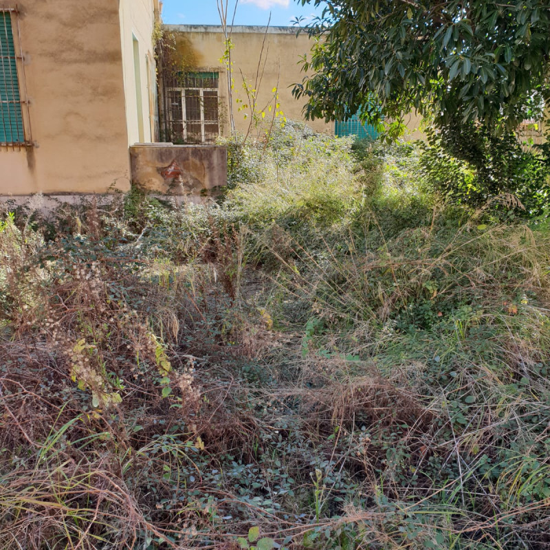 L’ex dispensario dell'Asp in via Miceli a Lamezia Terme è in preda al degrado e in totale abbandono da undici anni