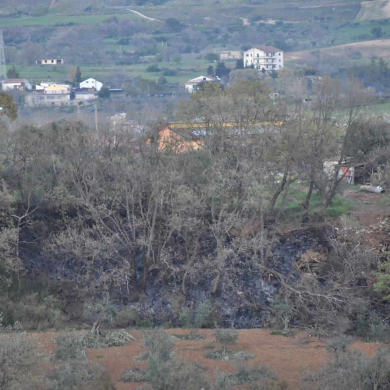 L'area distrutta dall'incendio a Castrovillari