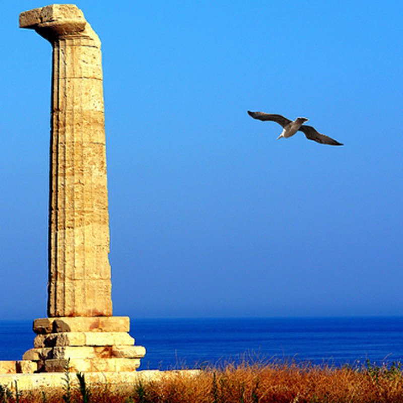 Parco Archeologico Capo Colonna Heraion Lacinio, Crotone