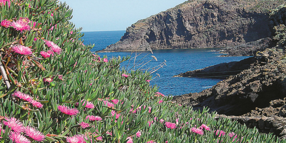 Da Pantelleria a Marte: in un lago siciliano le basi della vita Da Pantelleria a Marte: in un lago siciliano le basi della vita
