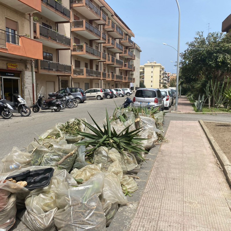 Una delle attività di raccolta dei rifiuti da parte dei cittadini-volontari di Reggio Calabria