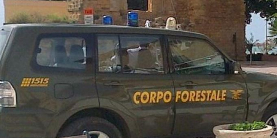 https://assets.gazzettadelsud.it/2021/10/forestali-970x485.jpg