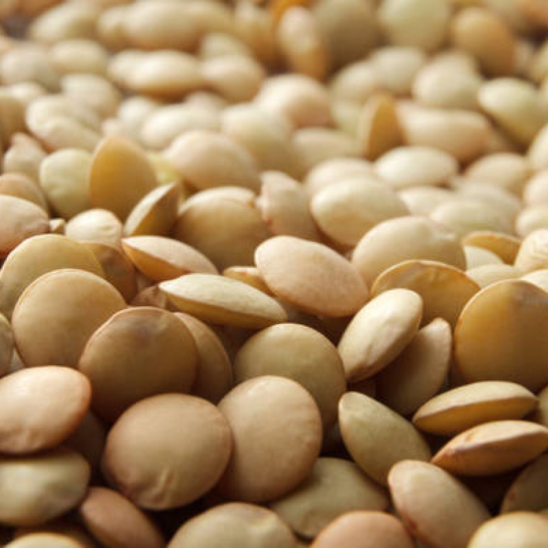 lentils