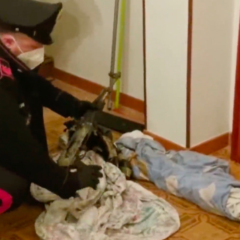 Nascondevano droga e kalashnikov in casa della madre defunta, due arresti a Modugno