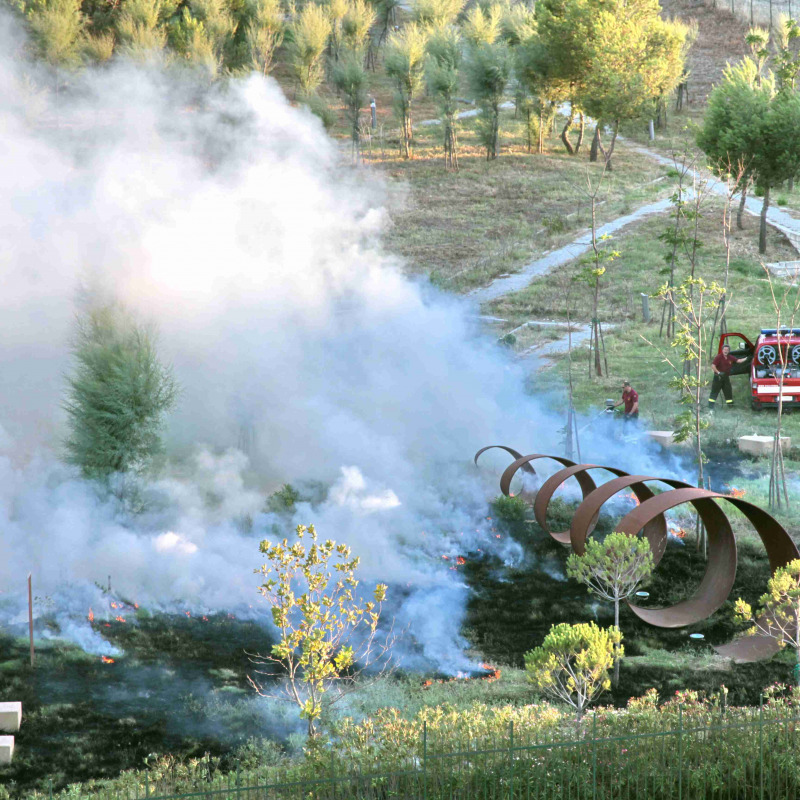 L'incendio scoppiato a Parco Pignera