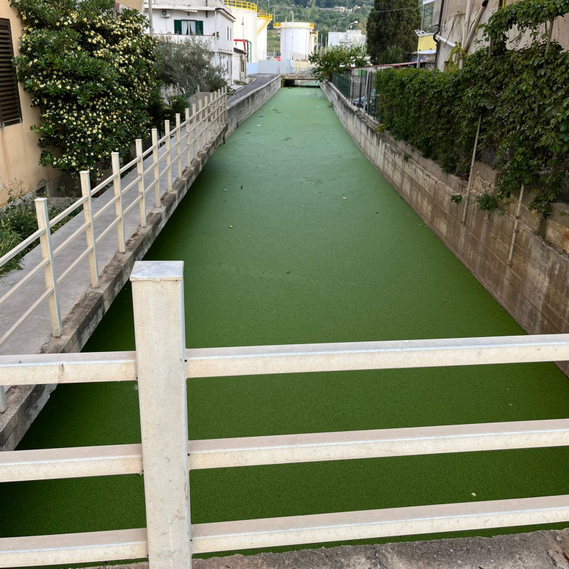 Nel torrente Antonucci di Vibo “scorre” acqua verde