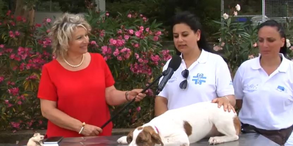 "Amici da Millemusi", chi si prenderà cura di Vittoria? - PUNTATA 4