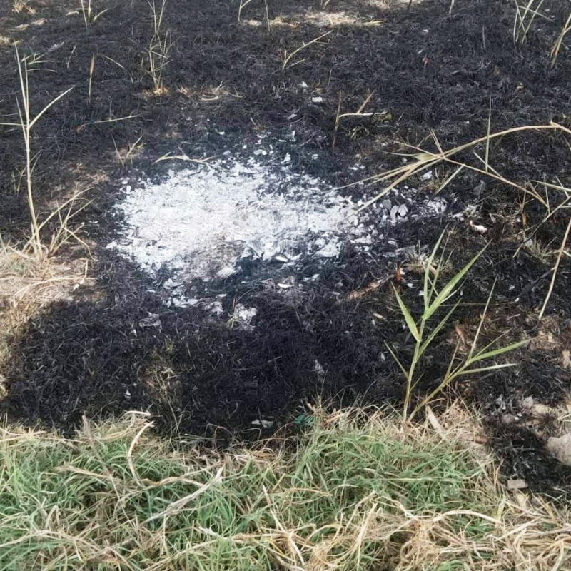 Trani, brucia la zona Vasca di Boccadoro: necessario intervento vigili