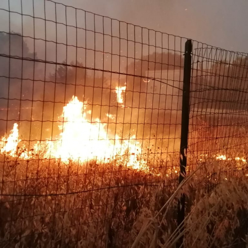 Trani, brucia l'area dell'ex istituto psicopedagogico. Fiamme fino alla statale