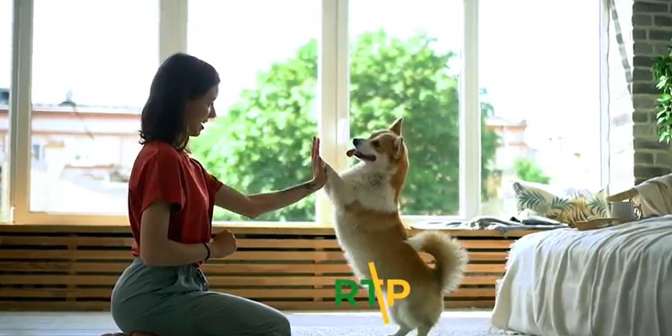 Amici dai Millemusi, l'ultimo cucciolo in adozione è Pezzo - PUNTATA 8