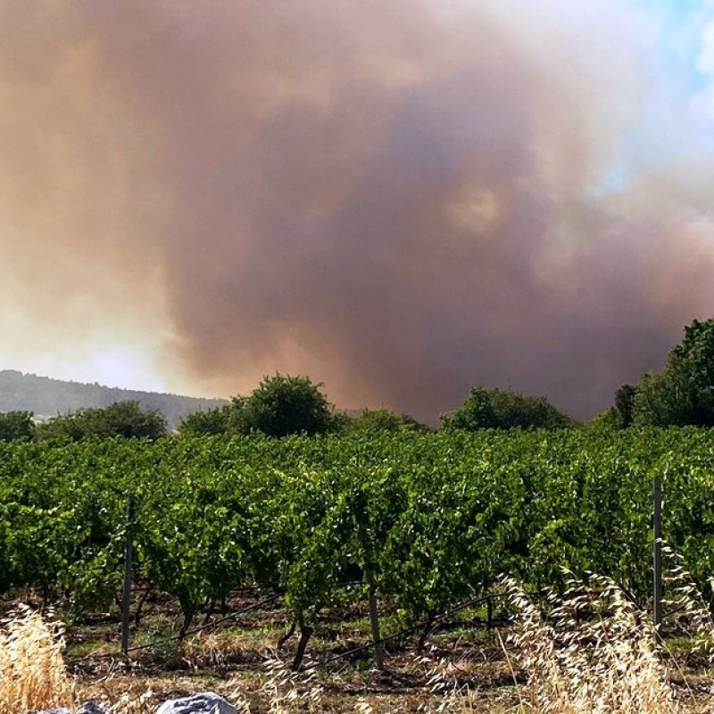 Incendio ad Andria: chiuso Castel del Monte e turisti allontanati