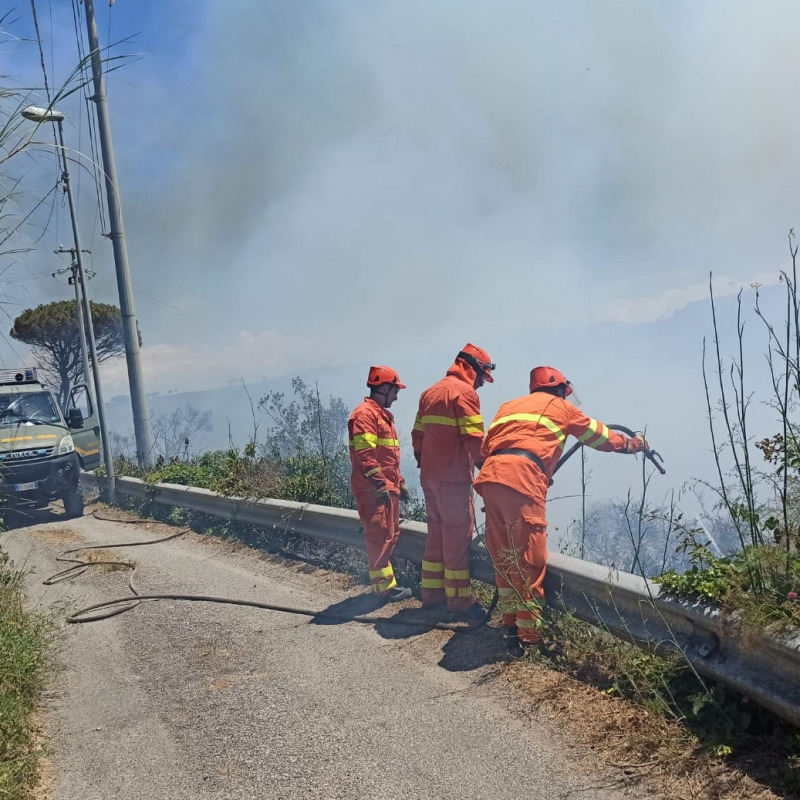 Messina, fiamme a Castanea: in azione forestale e vigili del fuoco