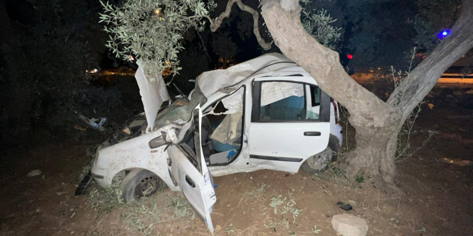Bari, auto si schianta contro un albero sulla provinciale 133: muore ...