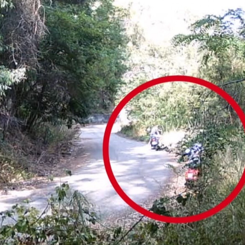 Il maxi incendio di agosto a Pianopoli, identificati i responsabili grazie alle fototrappole