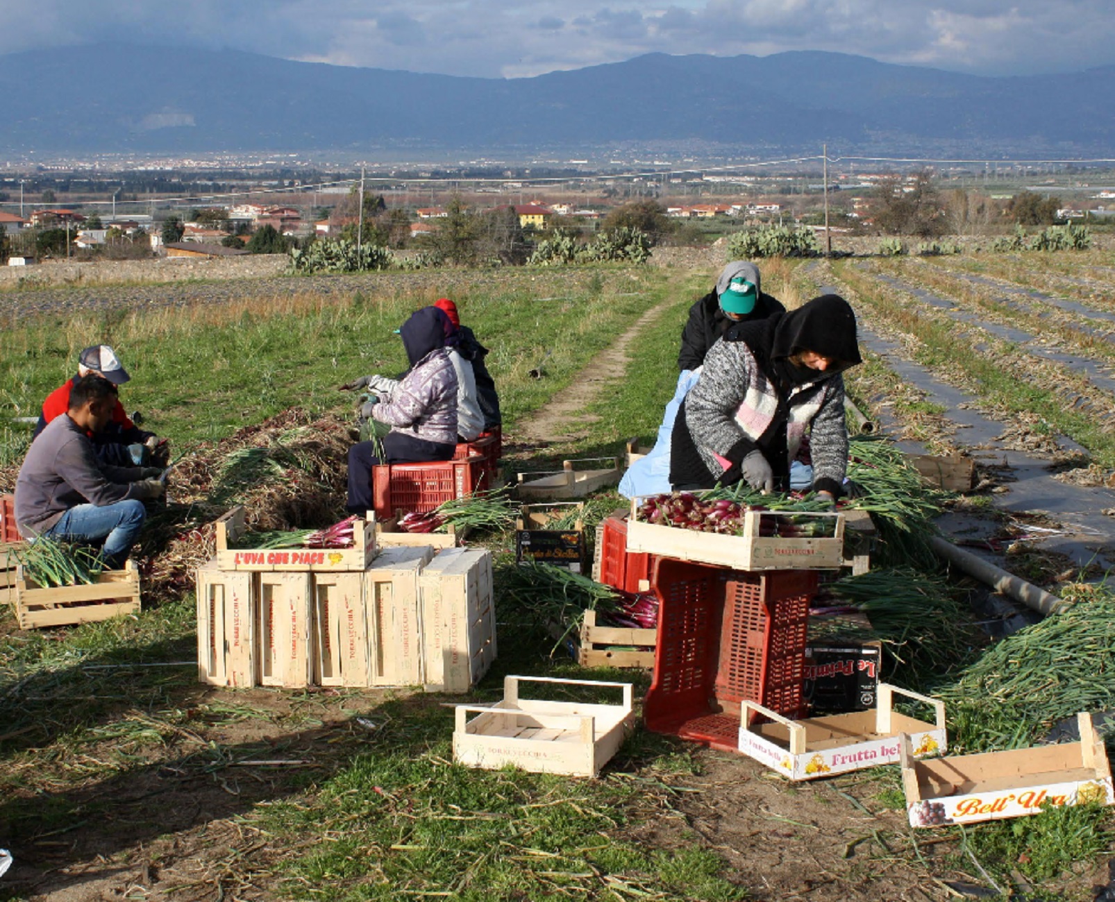 Calabria, nella Sibaritide dei caporali sono 7mila i braccianti a rischio