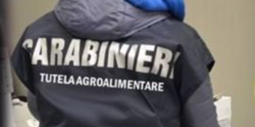https://assets.gazzettadelsud.it/2023/01/carabinieri-tutela-agroalimentare-970x485.jpg