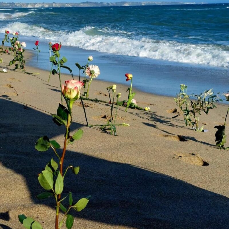 Steccato di Cutro, la spiaggia della tragedia