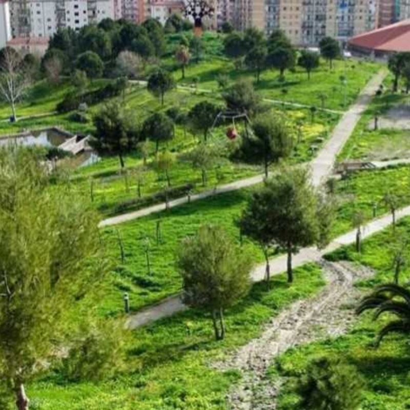 Parco Pignera è l'area in cui sono previsti gli scavi