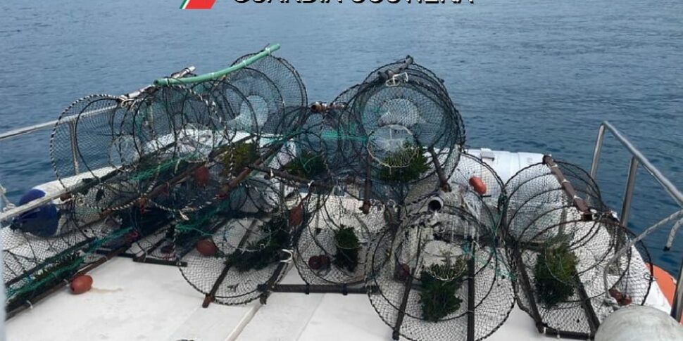 Gli Attrezzi Da Pesca Fantasma Mettono A Rischio Le Aree Marine Protette Italiane