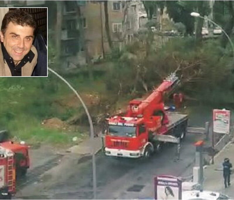 L’intervento dei Vigili del fuoco per la rimozione del pino che ha ucciso l’avvocato Giovanni Pellicanò (nel riquadro)