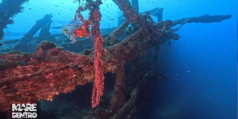 In attesa della nuova stagione di Mare Dentro due nuove puntate inedite