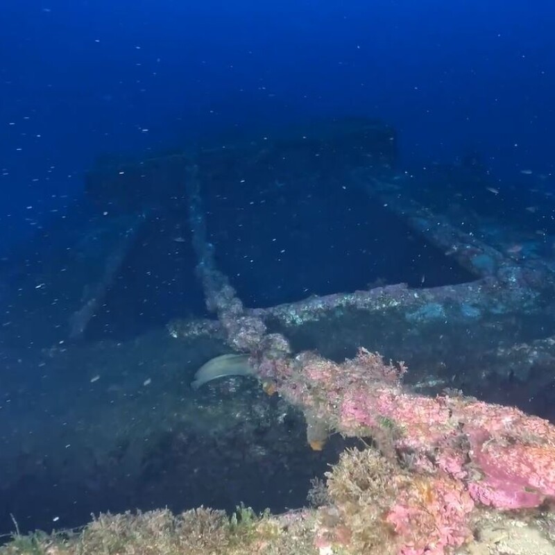Mare Dentro, il Produgal: la storia della nave affondata nel porto di Messina nel 1908