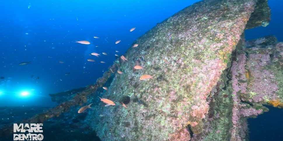 Mare dentro vi porta a bordo della Groppo e della Arturo Volpe