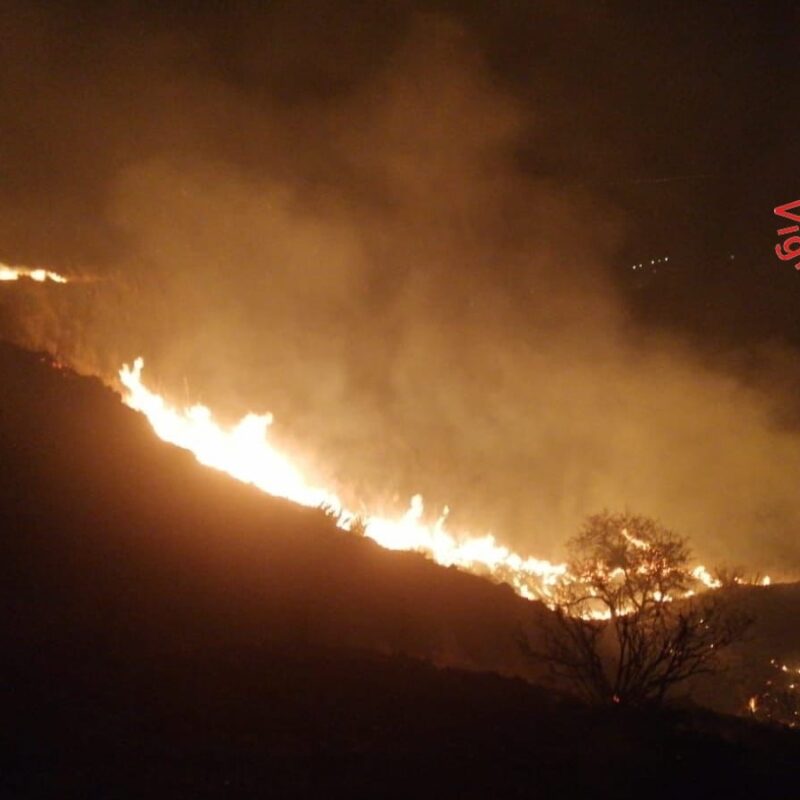 Incendi Aspromonte