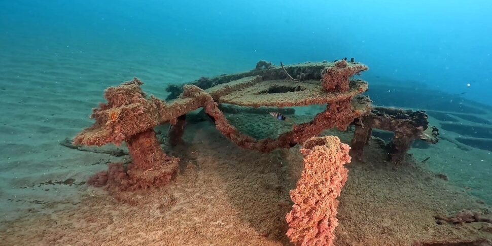 Mare Dentro: alla foce del torrente Giammoro alla scoperta della Island Creta
