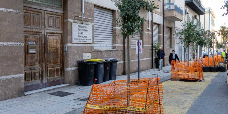 Foresta Me, piantati i primi alberelli in centro